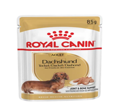 ROYAL CANIN Dachshund