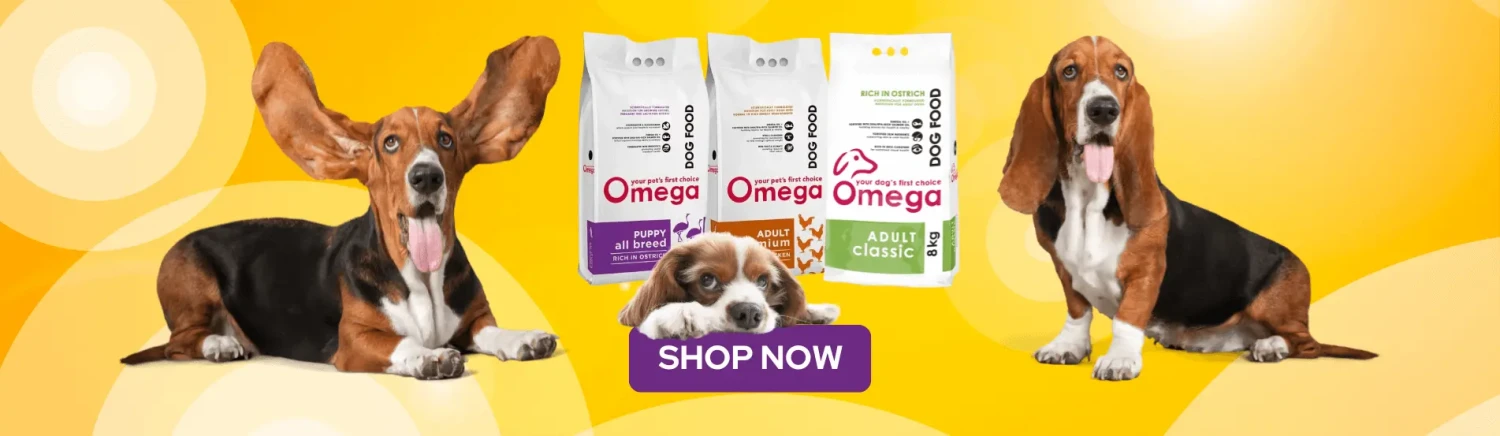 LanuschkaPets promo