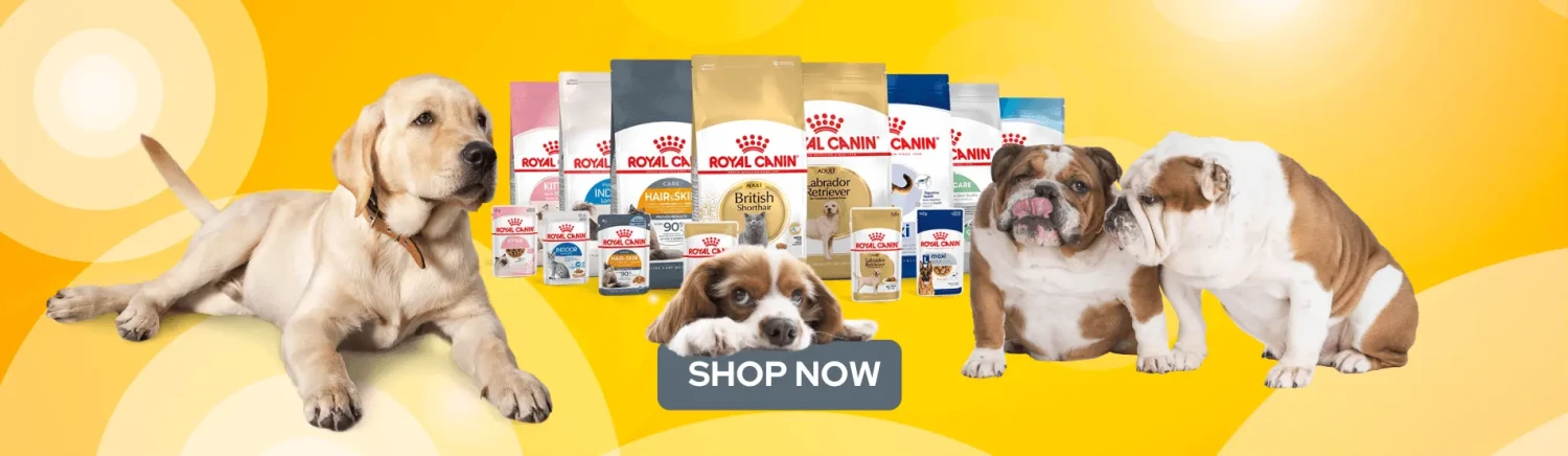 LanuschkaPets promo