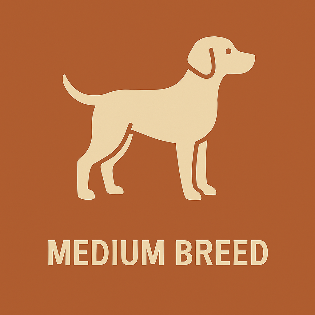 Meduim Breed
