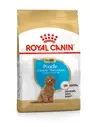 ROYAL CANIN Poodle Puppy