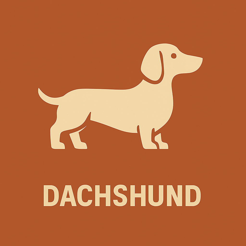 Dachshund