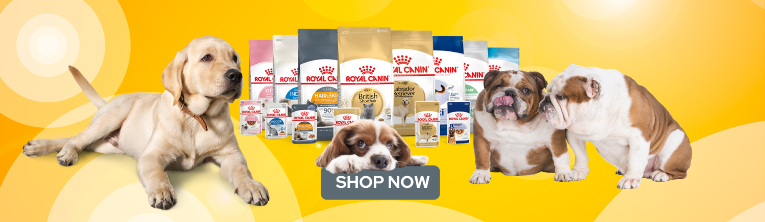 LanuschkaPets promo