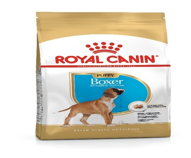 ROYAL CANI Boxer Puppy