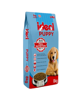 IDEAL Dog Puppy