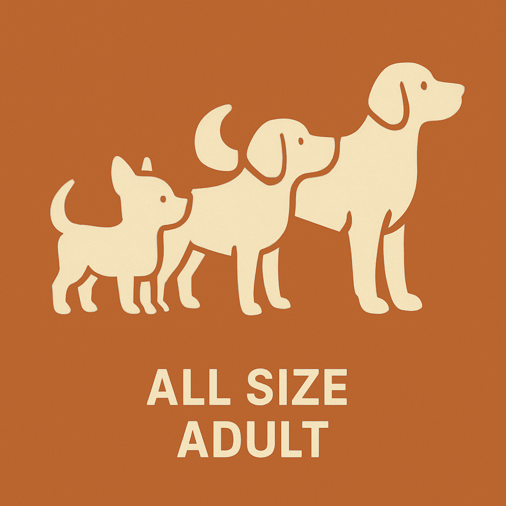 All Size Adult