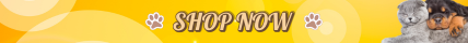 Topbar Banner