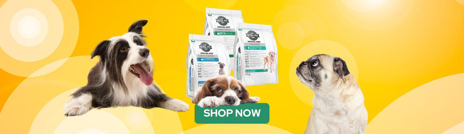 LanuschkaPets promo