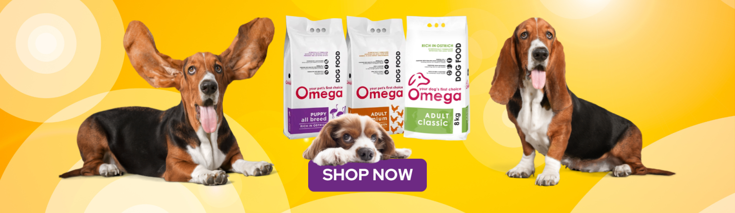 LanuschkaPets promo