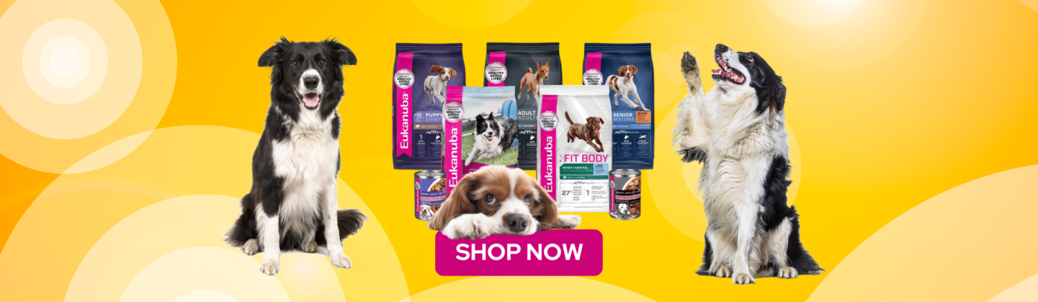 LanuschkaPets promo